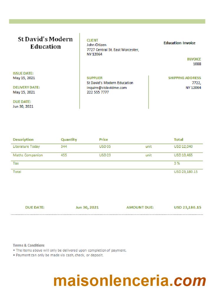 USA St David' s Modern Education tekst faktury i szablon PDF